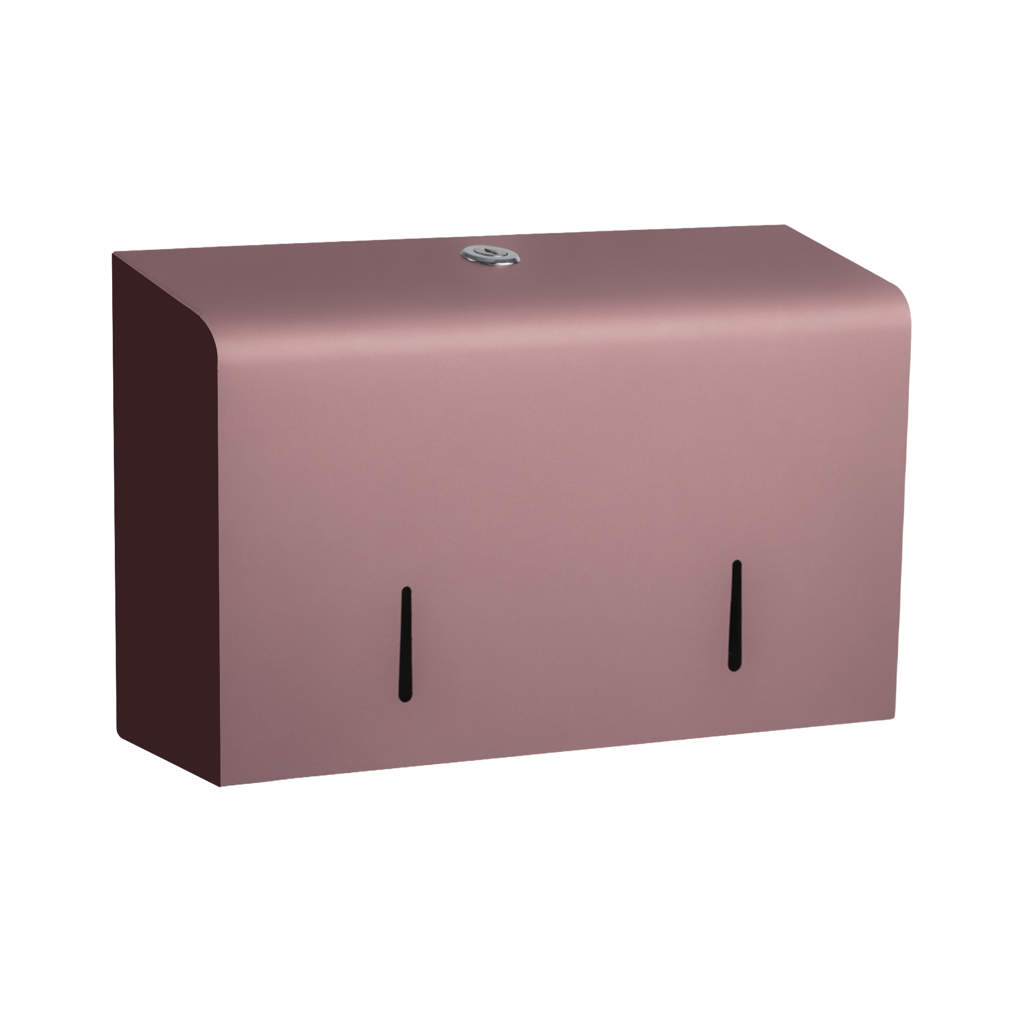 Toalettpappershållare mini jumbo i stål för 2 mini jumbo rullar